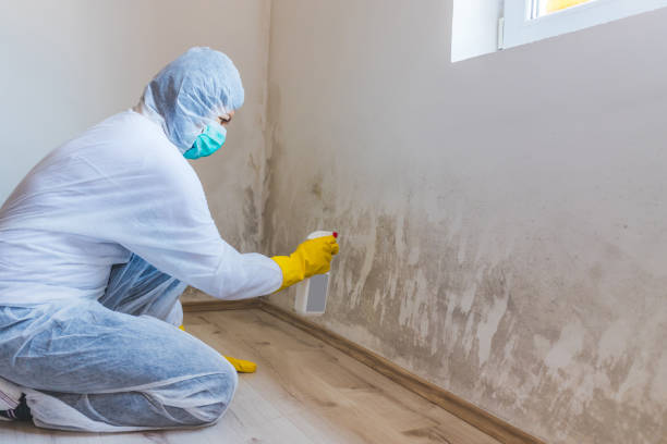 Licensed Mold Remediation service in New City, NY - 24 Hour Mold Removal