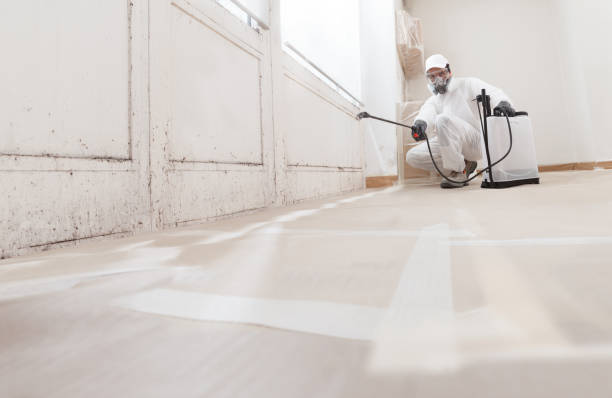 24/7 Emergency Mold Remediation experts in New City, NY
