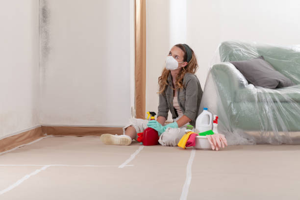 Reliable Mold Remediation contractor in New City, NY by 24 Hour Mold Removal